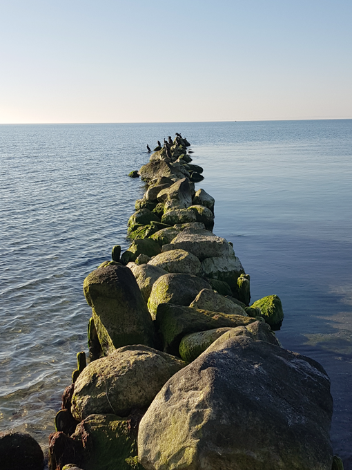 meer